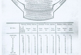 Valstybės teatro scenos planas (1929)