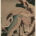 Kacušika Hokusajis. Gervės ant apsnigtos pušies šakos. Apie 1820 m.