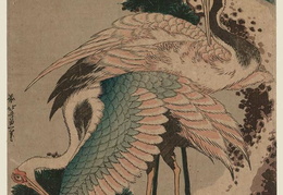 Kacušika Hokusajis. Gervės ant apsnigtos pušies šakos. Apie 1820 m.