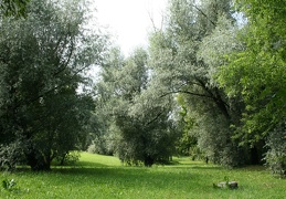 Gričiupio parkas